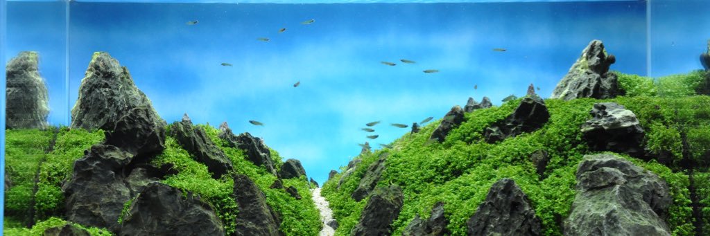 C5Toshi59's profile banner image
