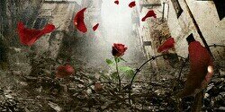 deniswhite23's profile banner image