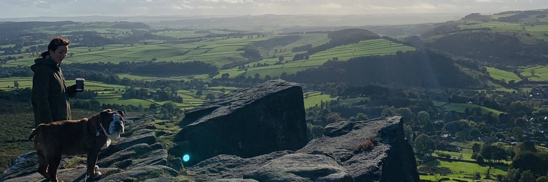 EnzoBulldog's profile banner image