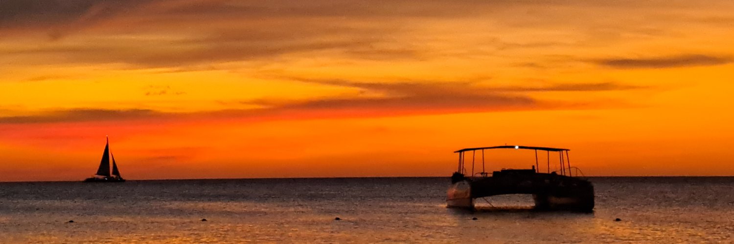 SChwapman's profile banner image