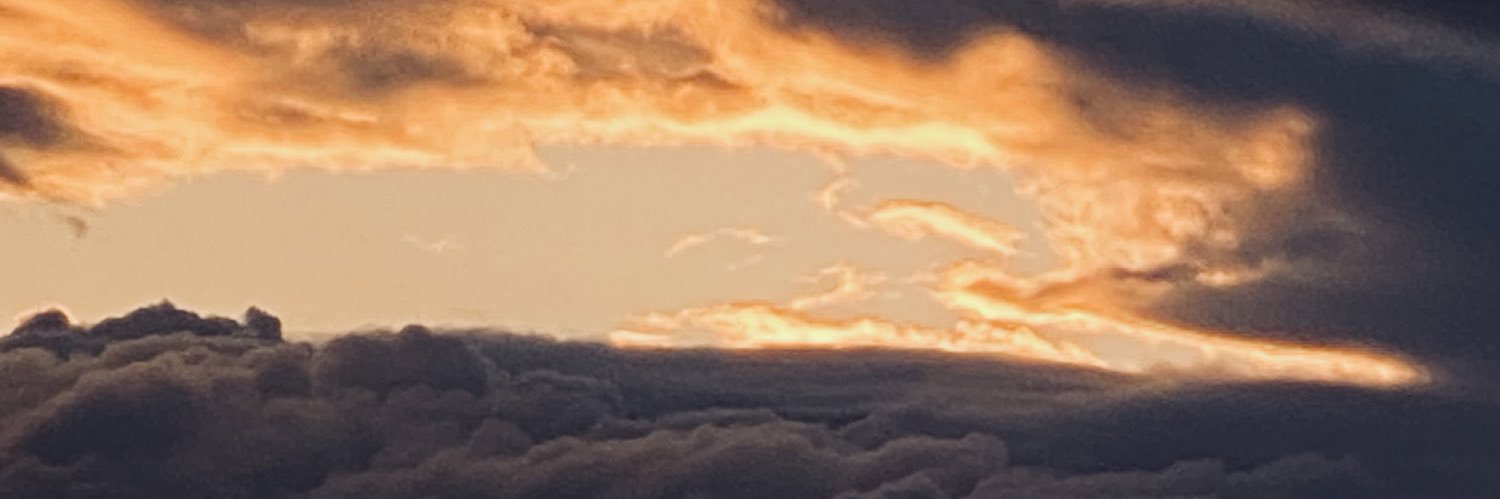 Mellostaylit's profile banner image