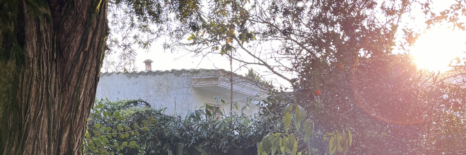 سایکو لاوِر banner