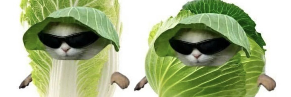 paulatamac's profile banner image