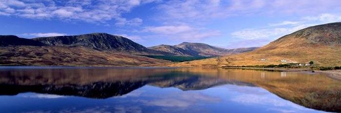 Fidelma Gallagher banner