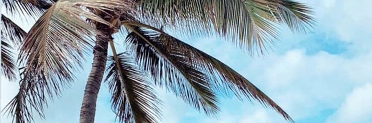 mariacshan's profile banner image