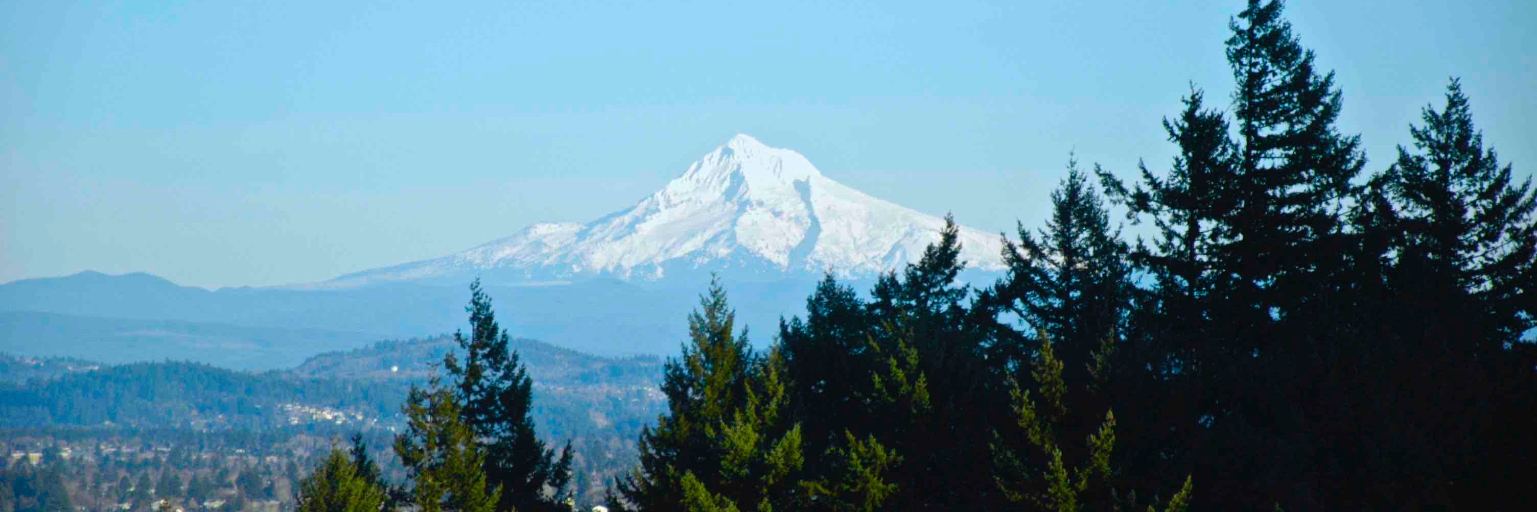 James Morrison banner