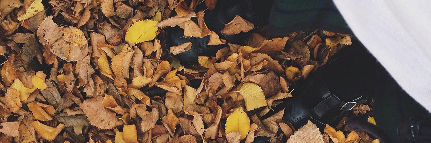 MissVossy's profile banner image