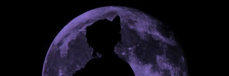 El banner