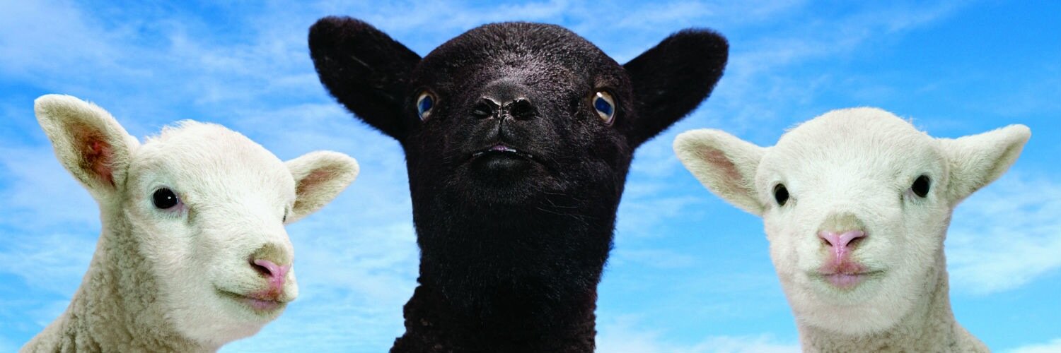 dwazeschare's profile banner image