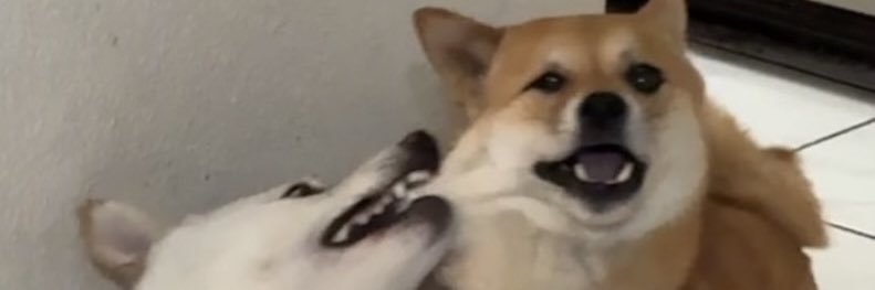 LuxMarcus's profile banner image