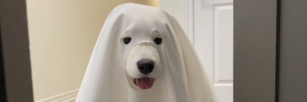 k banner