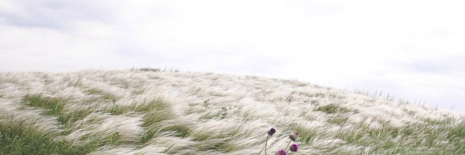 mcinju's profile banner image