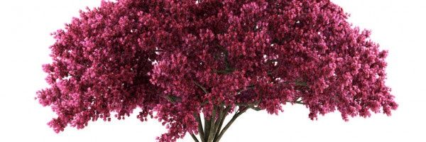 Polaco_HDP's profile banner image