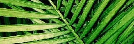 mr_padillaaa's profile banner image