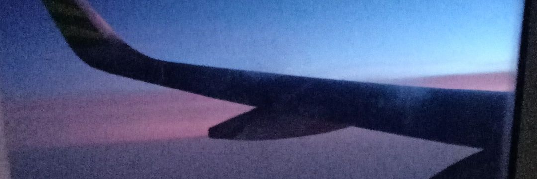 biicuw's profile banner image