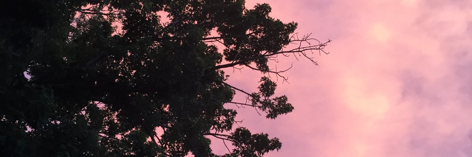 jululukens's profile banner image