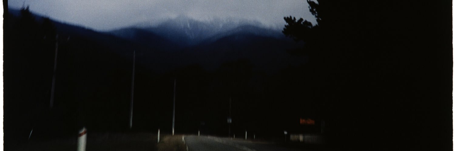 John Nicolay banner