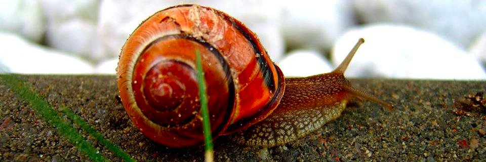sabitgocebe's profile banner image
