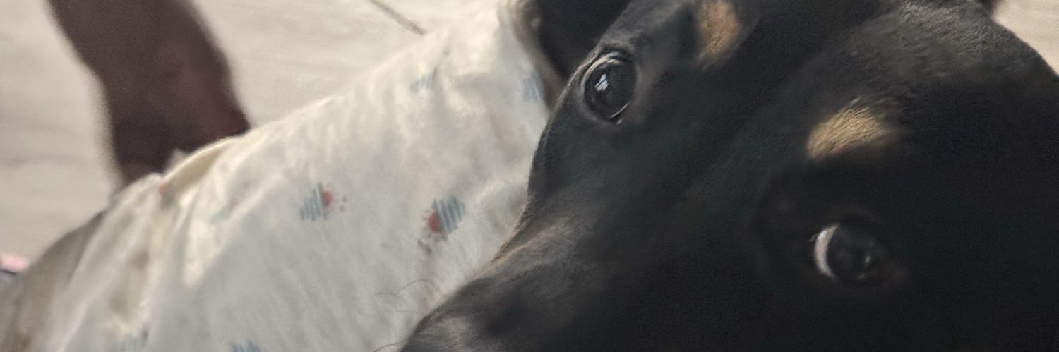 PalesaMarie's profile banner image