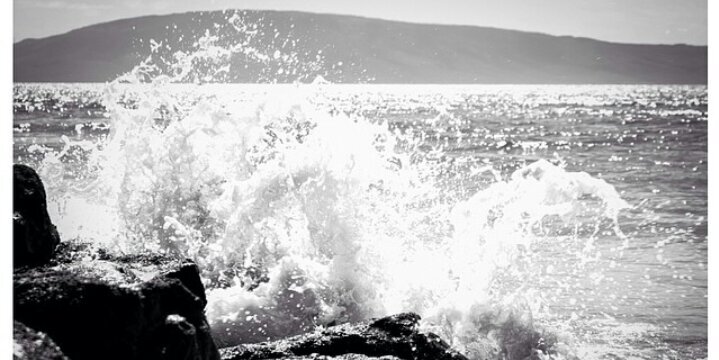 OGkkkealoha's profile banner image
