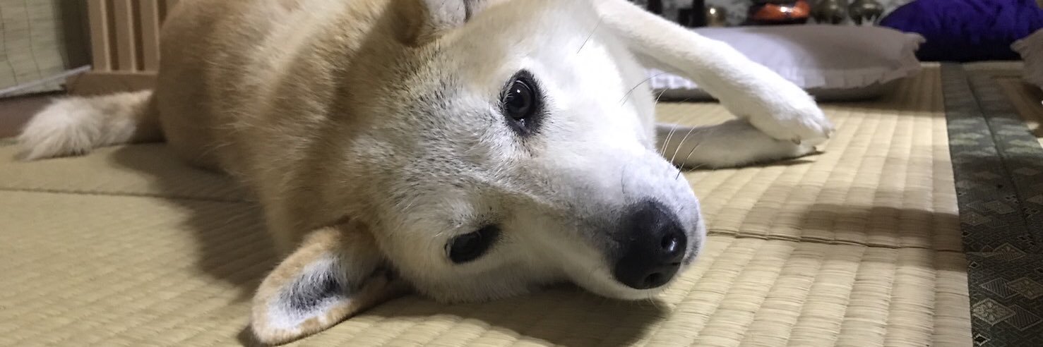 _RIPryoz's profile banner image