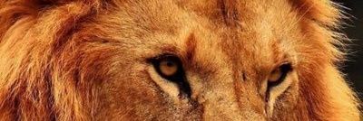 Ashwani Kumar banner