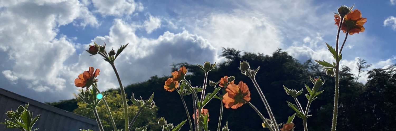 RachelWalker54's profile banner image