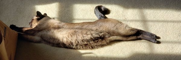 EricPR46 Profile Banner