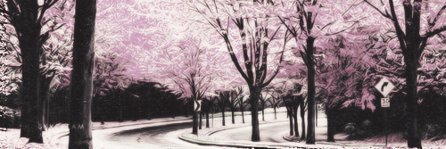 ameelyons77's profile banner image