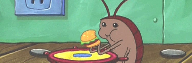 kylaoconner's profile banner image