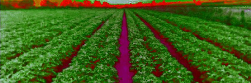 Joseph Mhango banner