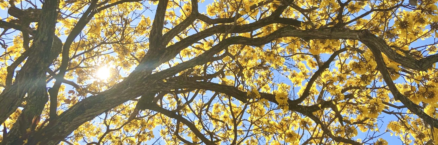kathyColme's profile banner image