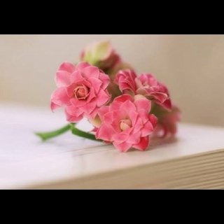 DyahZaputri's profile banner image