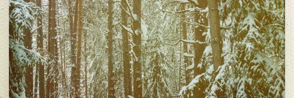 RuthWallharp Profile Banner