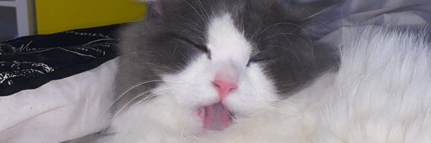 hanartest's profile banner image