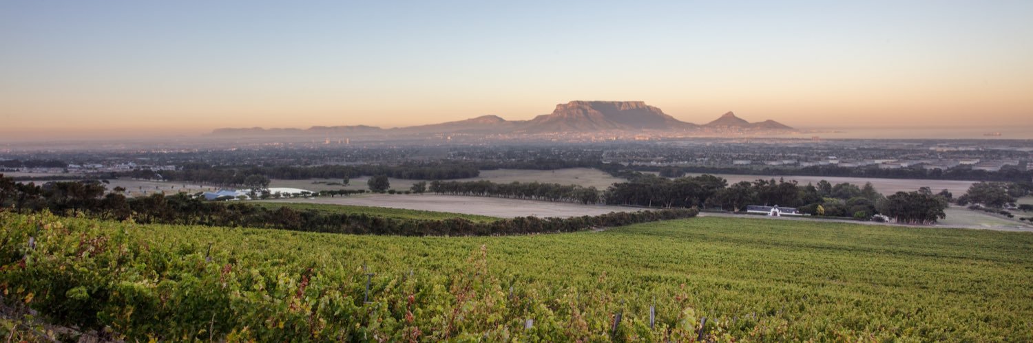 degrendelwines's profile banner image