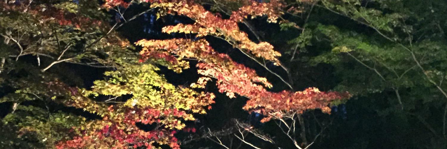 RAY1979's profile banner image
