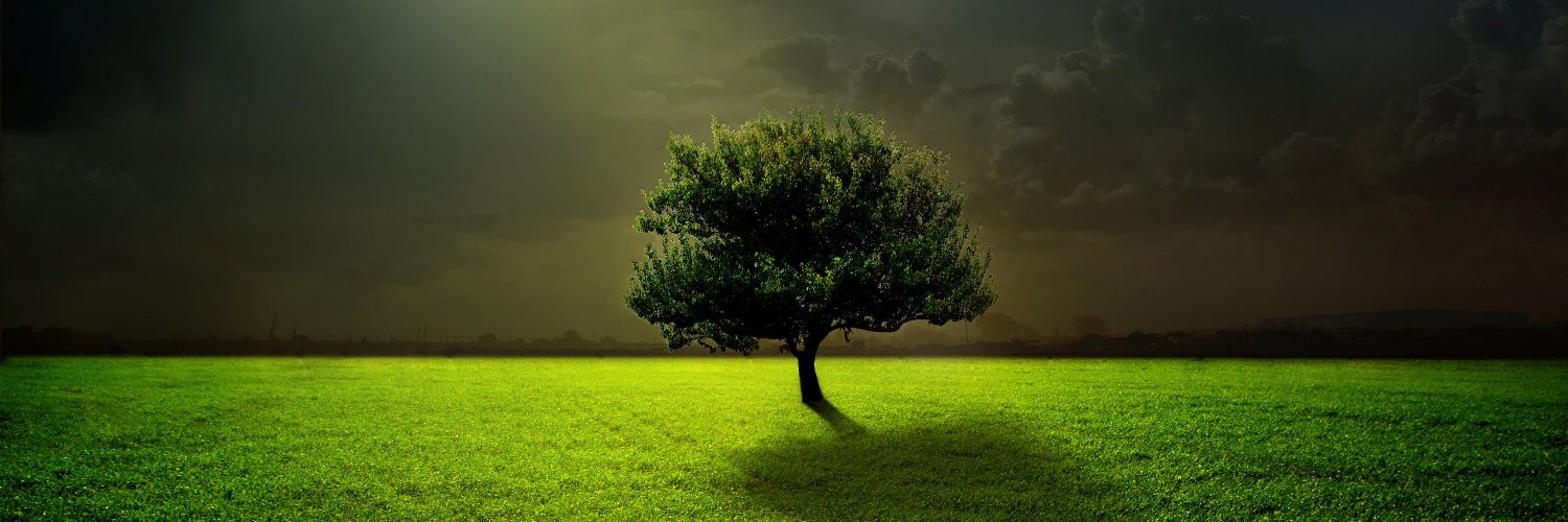 aankaligi's profile banner image
