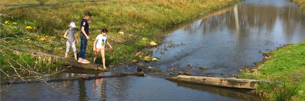 WingNL Profile Banner