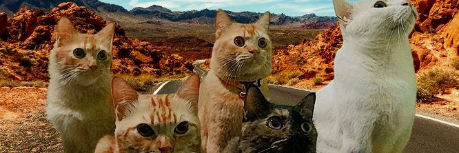 ఇ ◝‿◜ ఇ ᯓ★🎸 banner