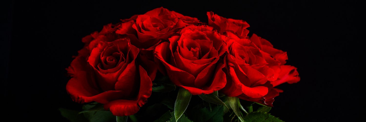 Rqyet's profile banner image