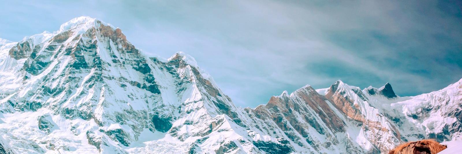 TromsMedia's profile banner image