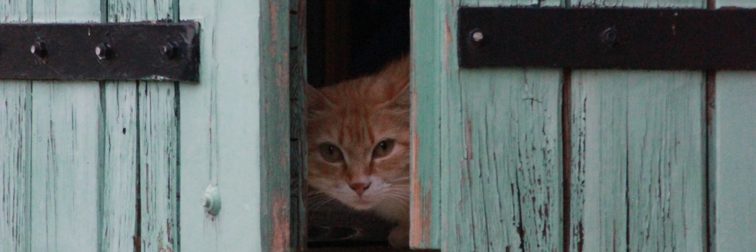 Natalia banner