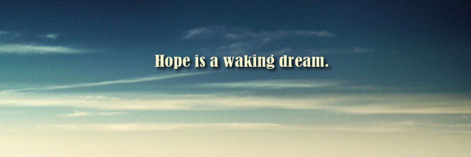 Kaylynn Petersen banner