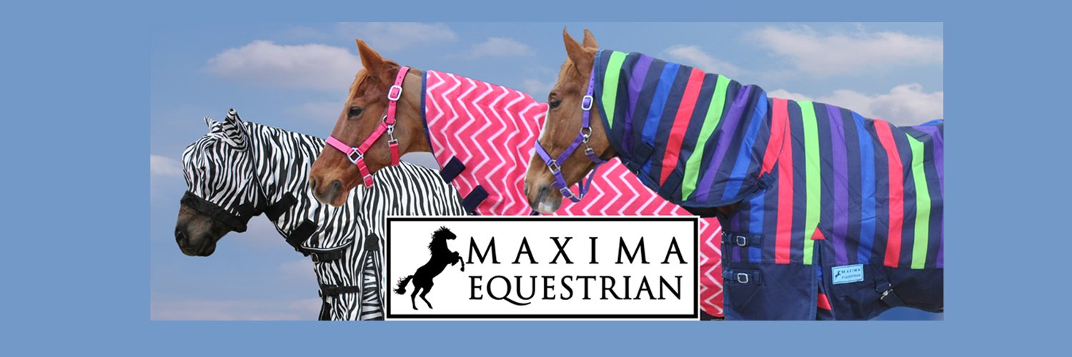 maximaequestria's profile banner image