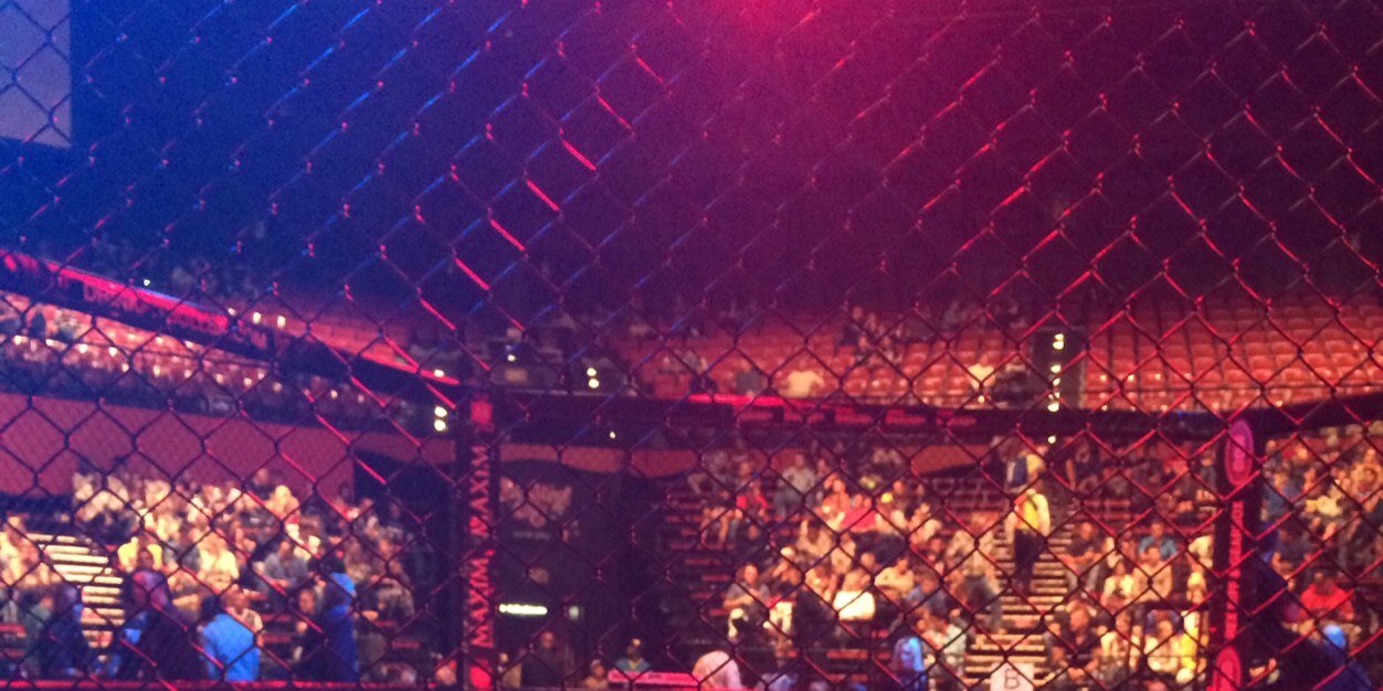 PKmma banner