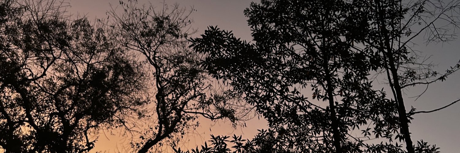 thxynx__'s profile banner image