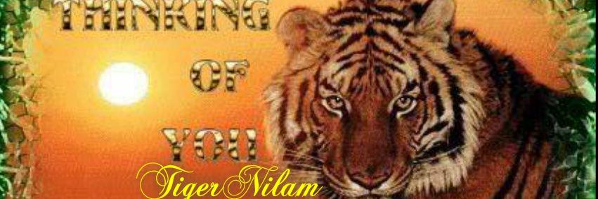 NILAMTn95's profile banner image