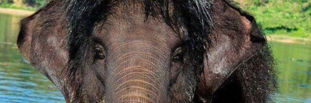 ivanfrinhane's profile banner image