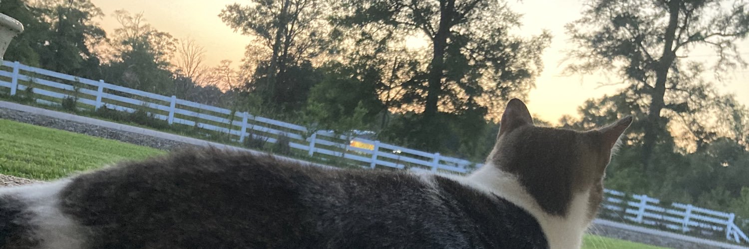 ChickenAintFree's profile banner image